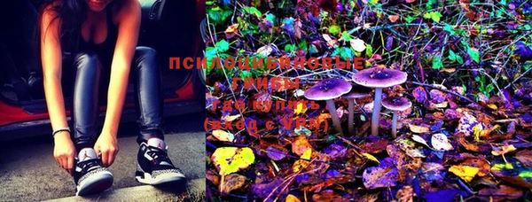 MDMA Premium VHQ Алзамай