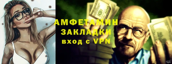 гашик Алексин
