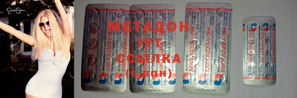 гашик Алексин