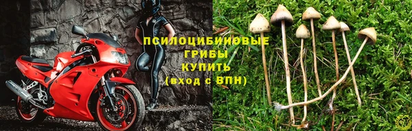 ALPHA-PVP Алексеевка
