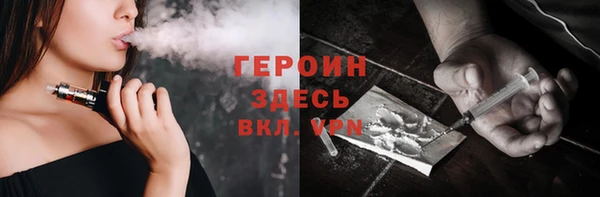 гашик Алексин