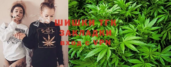 гашик Алексин
