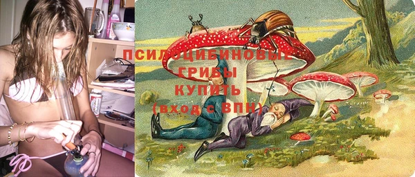 ALPHA-PVP Алексеевка