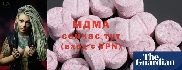 гашик Алексин