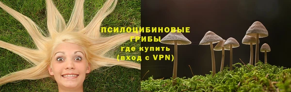 ALPHA-PVP Алексеевка