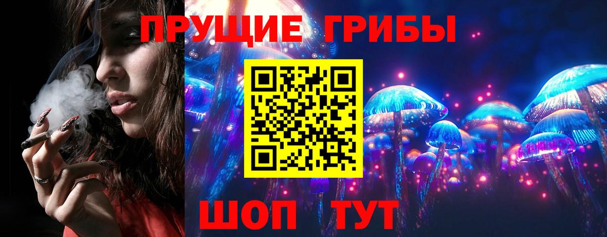 Псилоцибиновые грибы мицелий Балашов